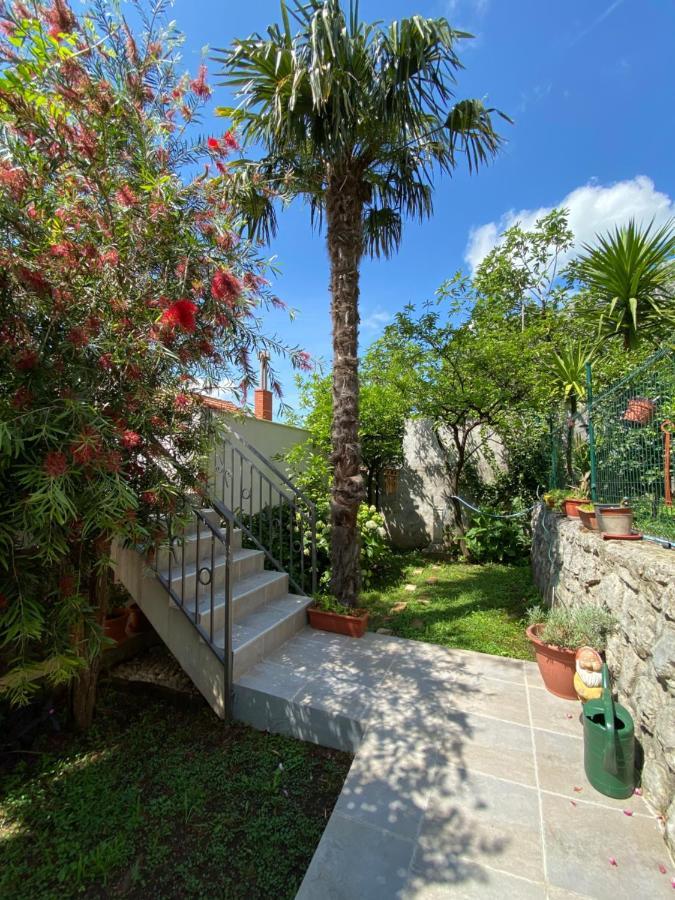 Sunny Bay Apartments Κότορ Εξωτερικό φωτογραφία