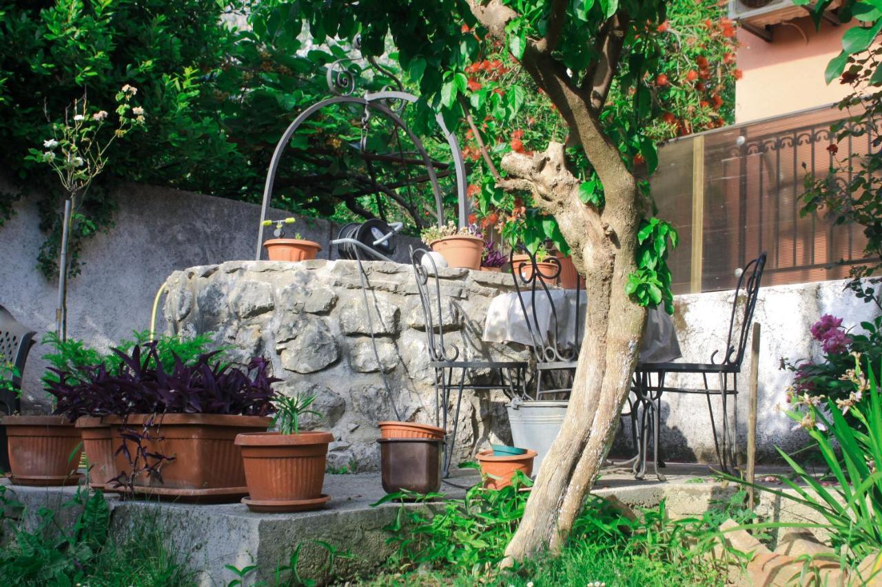 Sunny Bay Apartments Κότορ Εξωτερικό φωτογραφία