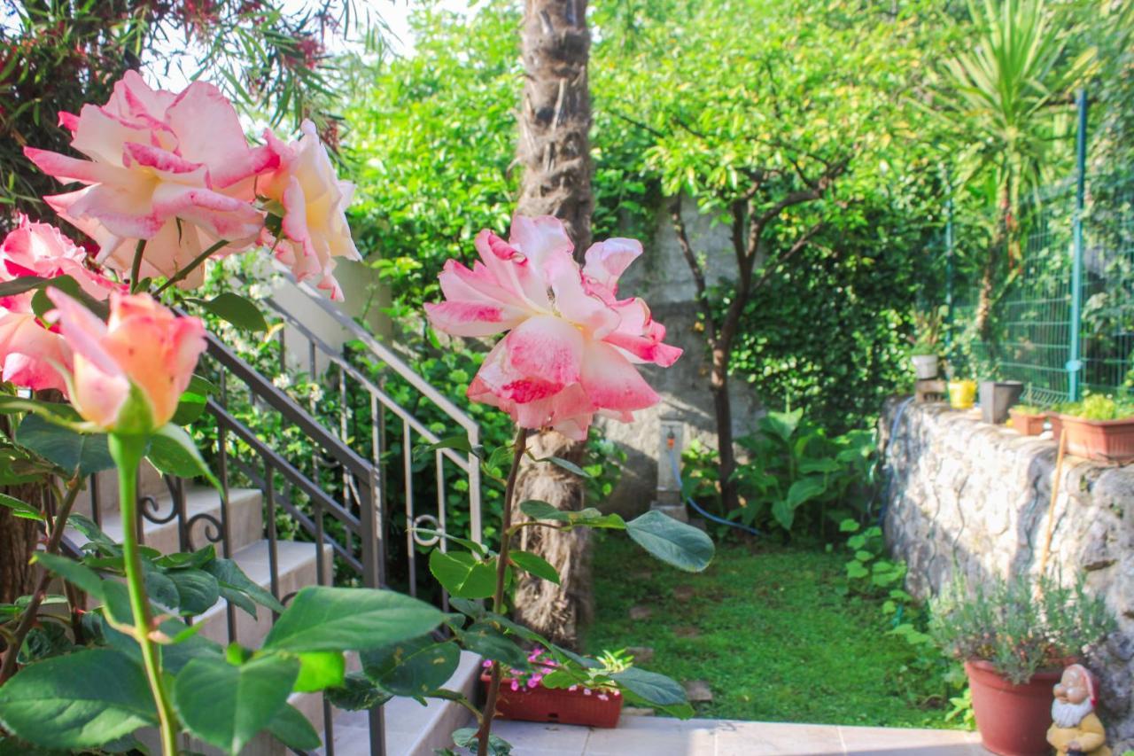 Sunny Bay Apartments Κότορ Εξωτερικό φωτογραφία