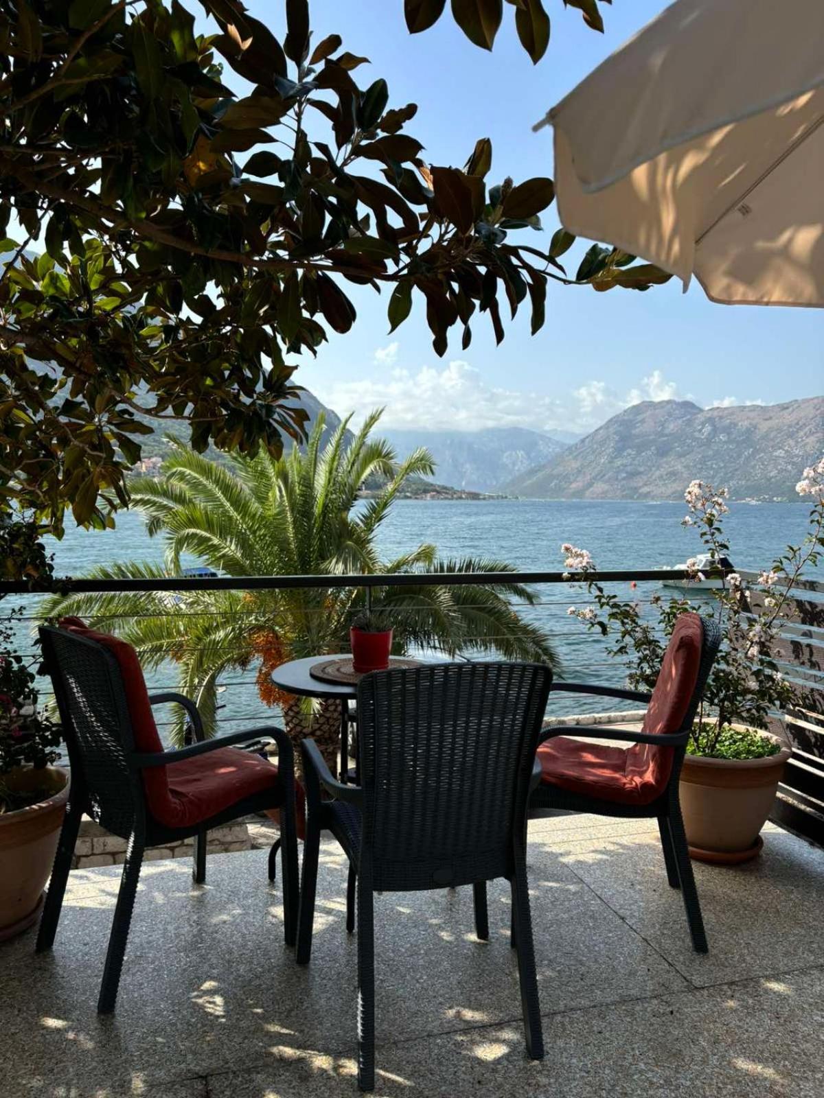Sunny Bay Apartments Κότορ Εξωτερικό φωτογραφία